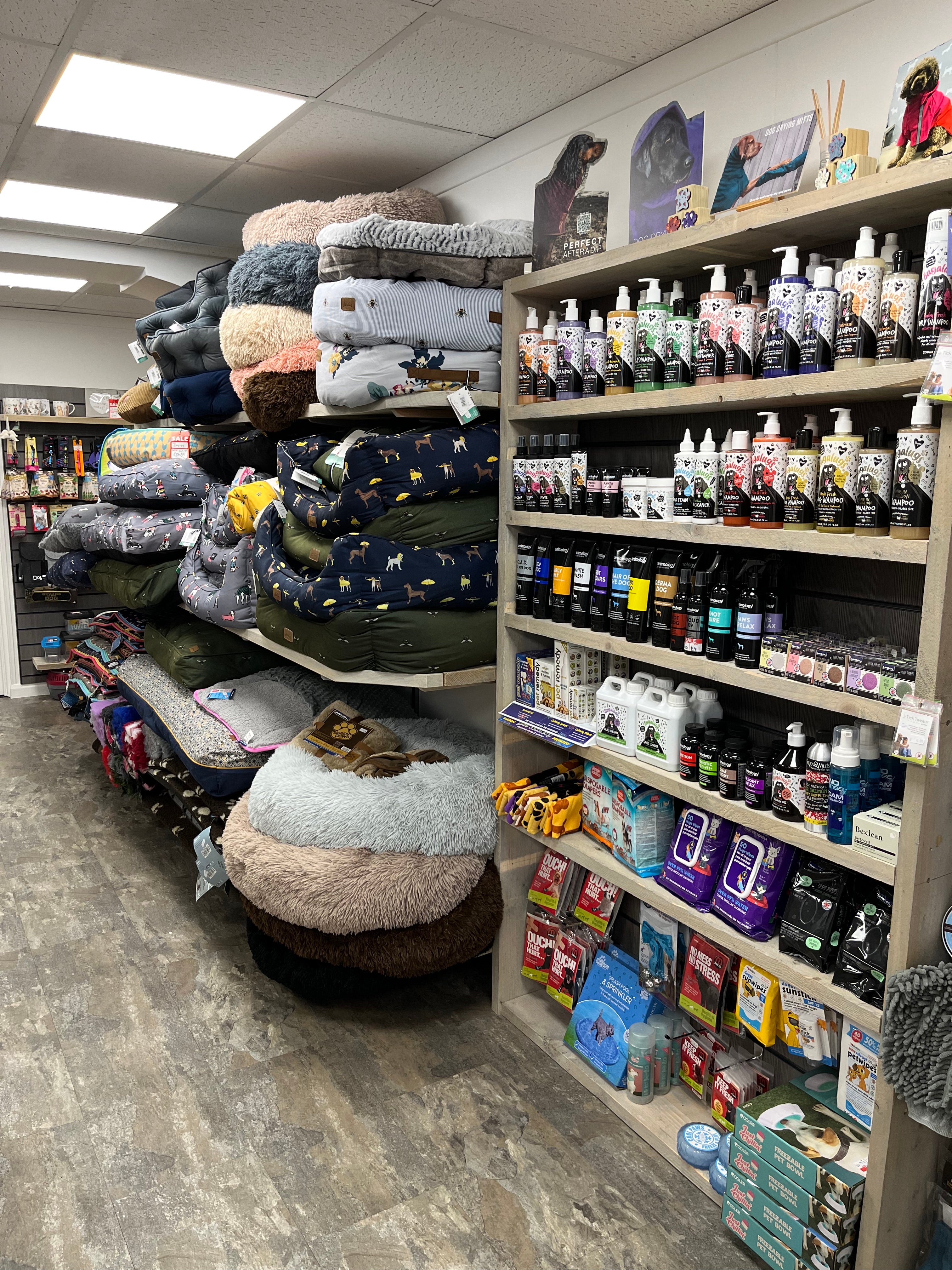 Pet boutique near me discount